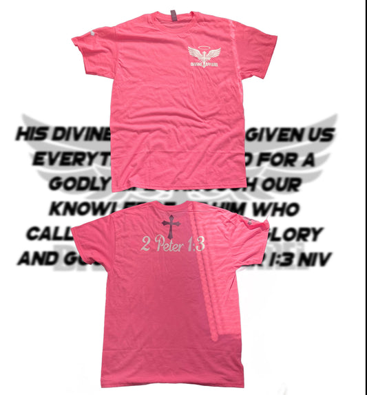 Black Divine Apparel Signature T-Shirt