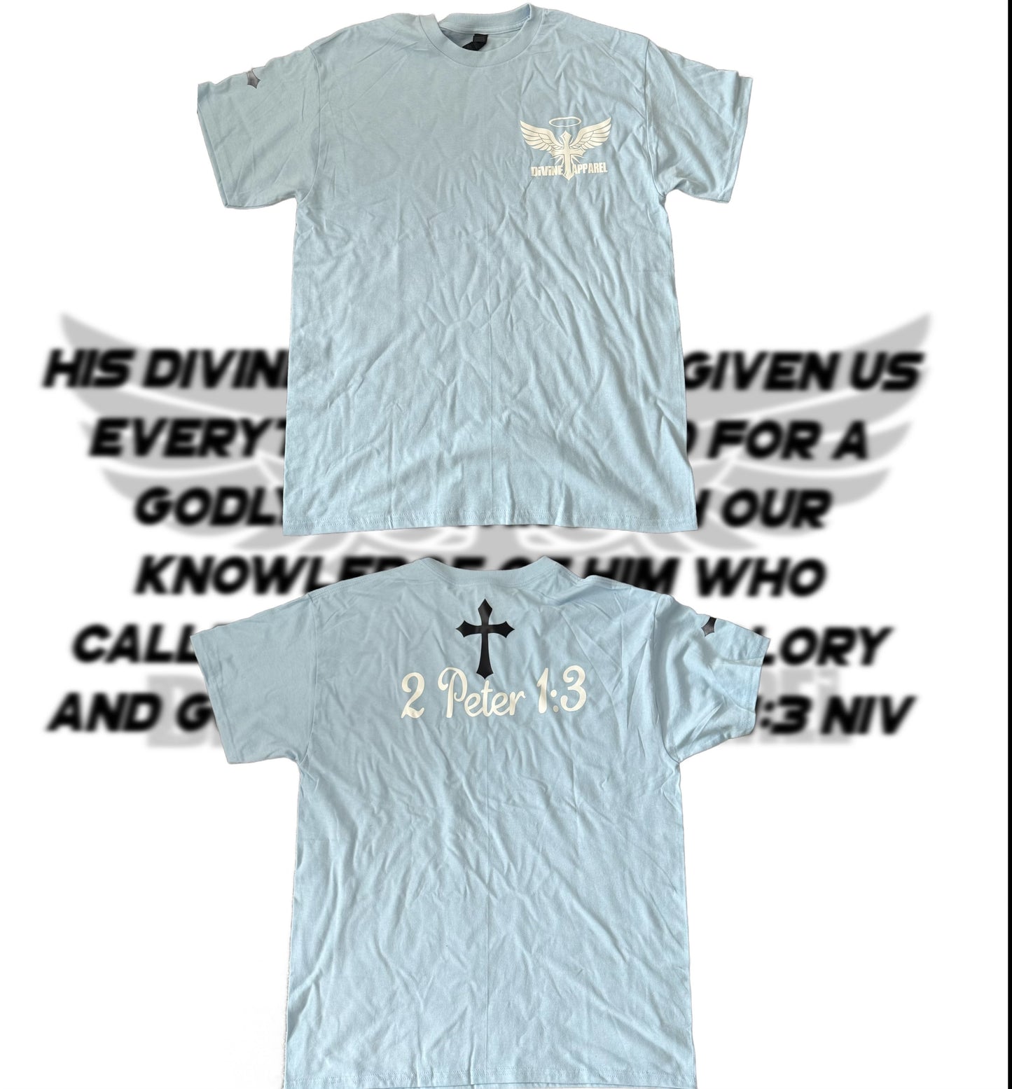Black Divine Apparel Signature T-Shirt